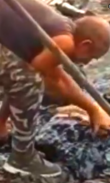 Part2 Animals Rescue #dogrescue #rescuedog #dogsofttiktok #foryoupage #foryou #dogs