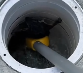 Part2 Animals Rescue #dogrescue #rescuedog #dogsofttiktok #foryoupage #foryou #dogs