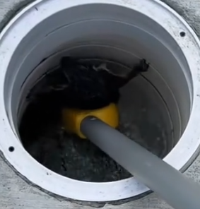 Part2 Animals Rescue #dogrescue #rescuedog #dogsofttiktok #foryoupage #foryou #dogs