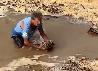 Part2 Animals Rescue #dogrescue #rescuedog #dogsofttiktok #foryoupage #foryou #dogs