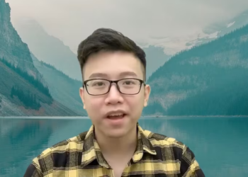 Rescue Dog Was Hit By Car Lay Down On Busy Road Without Help_part2