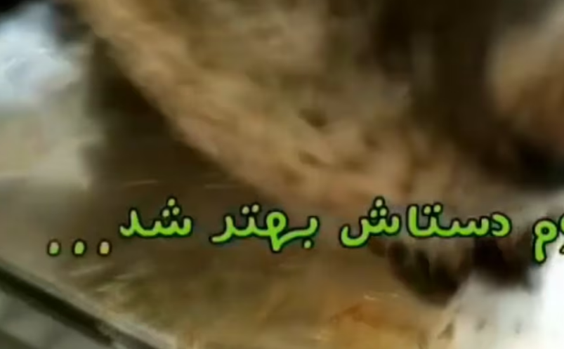 Rescue Homeless Dog Covered by Flea Rotting Worm on His Back, Watch His Happy Ending_part2