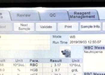 Rescue Homeless Dog Covered by Fleas many open wounds Please help_part2