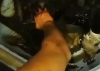 Rescue Poor Dog was stuck in tar Miracle found him in Dark_part2