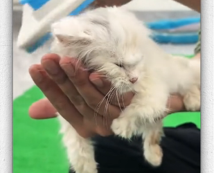 Everyone left it like but chose to stop help it_part2