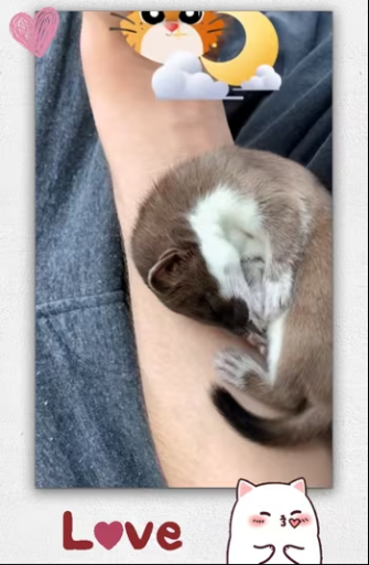 Girl found tiny baby on road then_part2