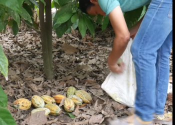 L2301001 le dejo encargada a su esposa y el se apr0vech0 de su nuera