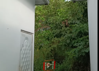 L2401001 Lo hizo pasar como su hijo pero al final sucedió lo mas inesperado