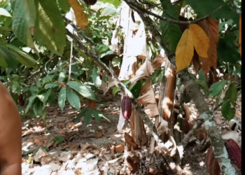 L2401002 Lo hizo con otro frente a su marido