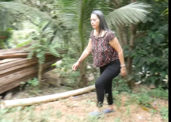 L2401003 Mujer interesada lo dejo porque no le funcionaba el pajarito