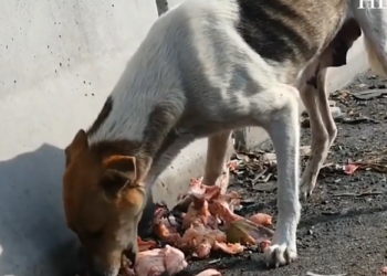 She gently walked up here, starting chapter of life!