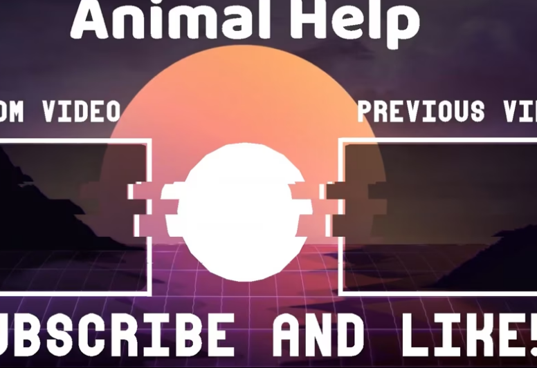 Rescue Scared Little Kittens They re So Cute When_part2