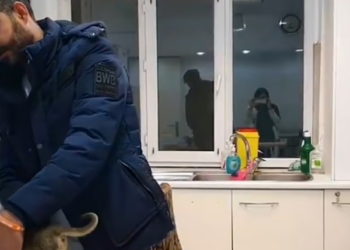 Rescue Poor Puppy Birth Defects In Legs He Can Walk_part2