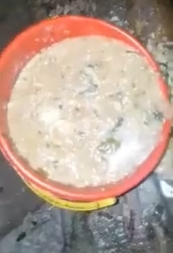 Blind dog living in bad – Copy_part2