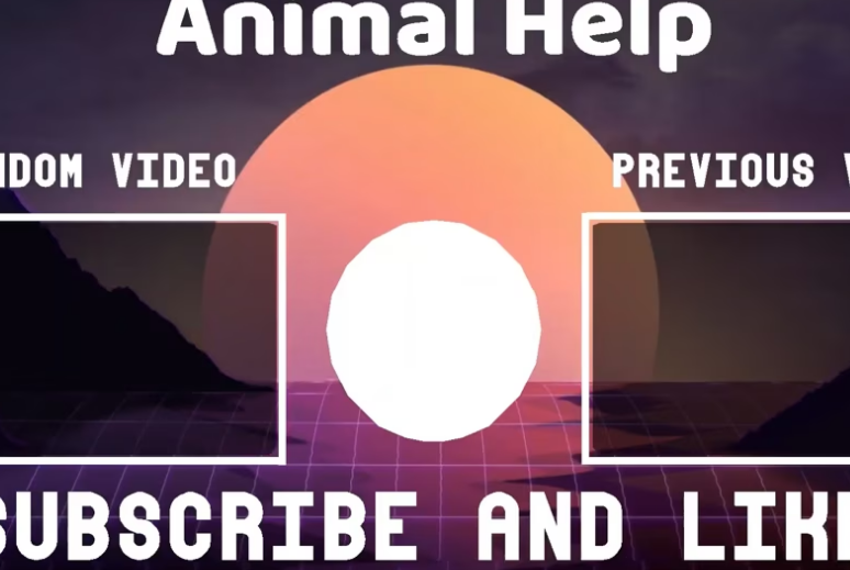 Dogs Bury Their Friend In Most Heart Touching Dog_part2