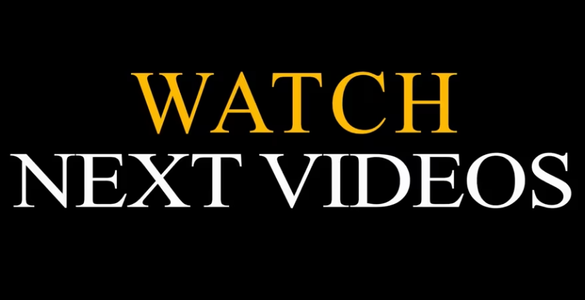 Rescue Abandoned Dog Neck Injury effected by previous owner – Copy_part2