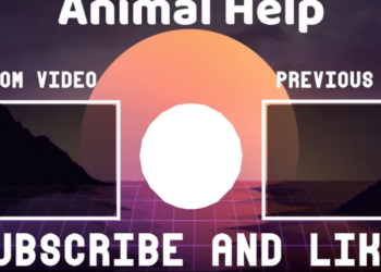 Rescue Abandoned Puppy can not walk, eyes filled_part2