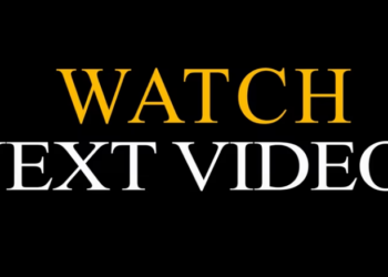 Rescue Dog Broken Leg Bone in Half_part2