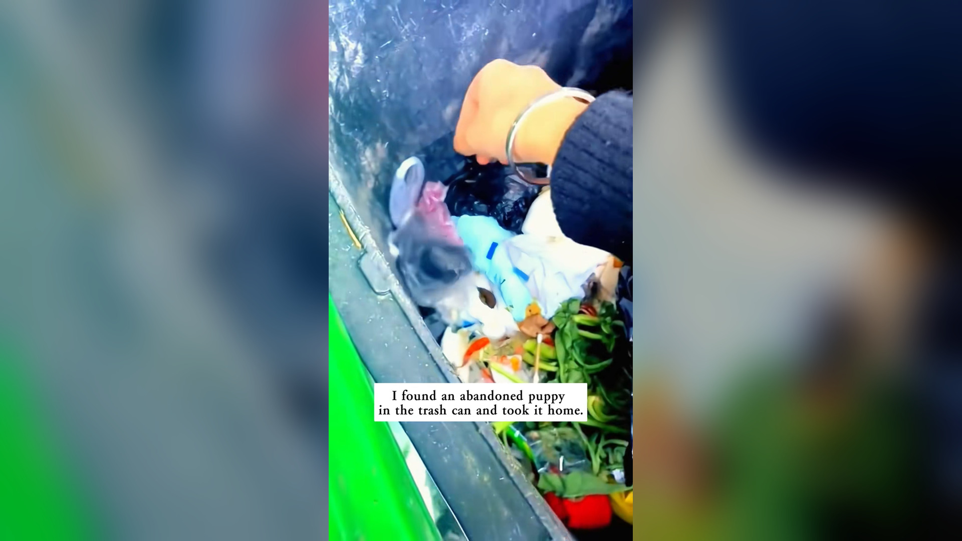 L1804003_I found an abandoned puppy in the trash can and took it home, and then…#rescue #animals #puppy