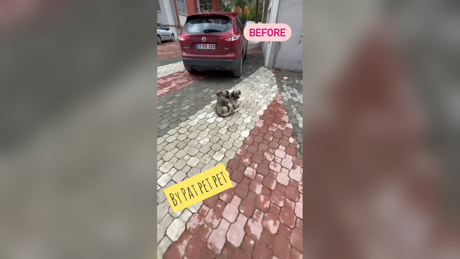 L1804003_has been filmed since last year ha