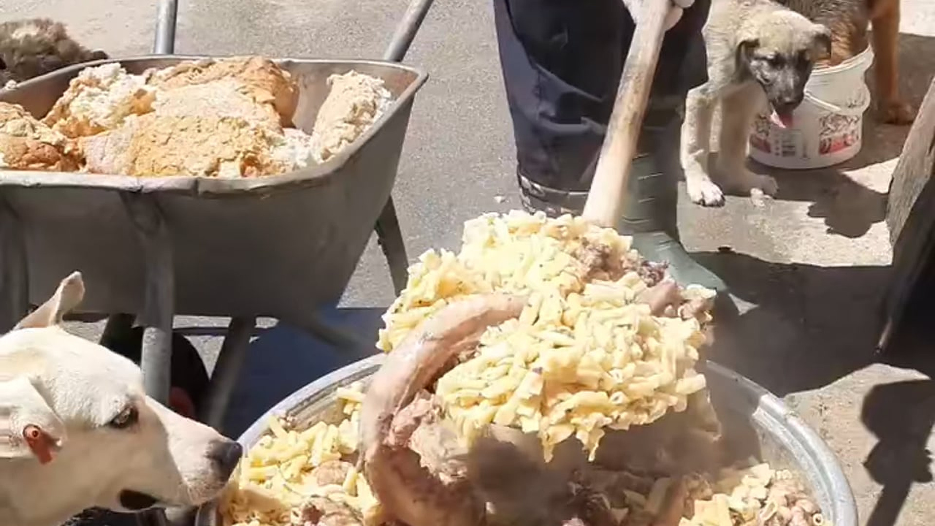 L1804002_Got truckload of food today! They have buffet